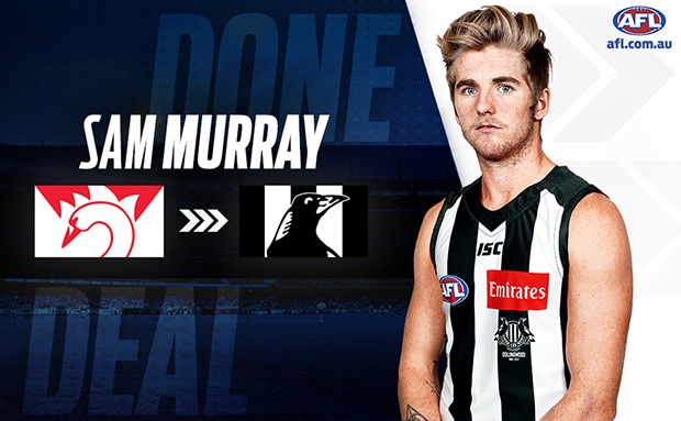 sammurraythumb300x300.jpg Sam Murray joined Collingwood in the Trade Period - AFL,Collingwood Magpies,Trade,Contracts,Free Agency,Sam Murray